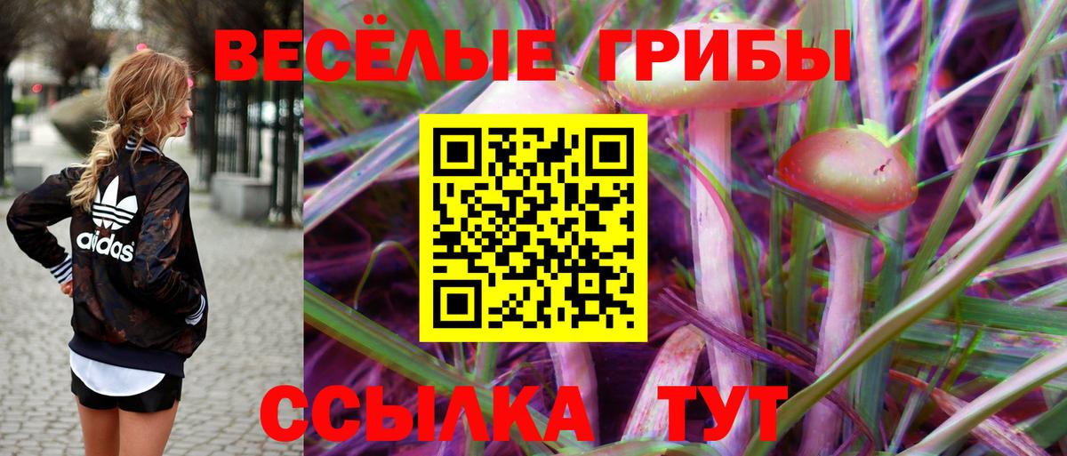 Галлюциногенные грибы ЛСД Ипатово