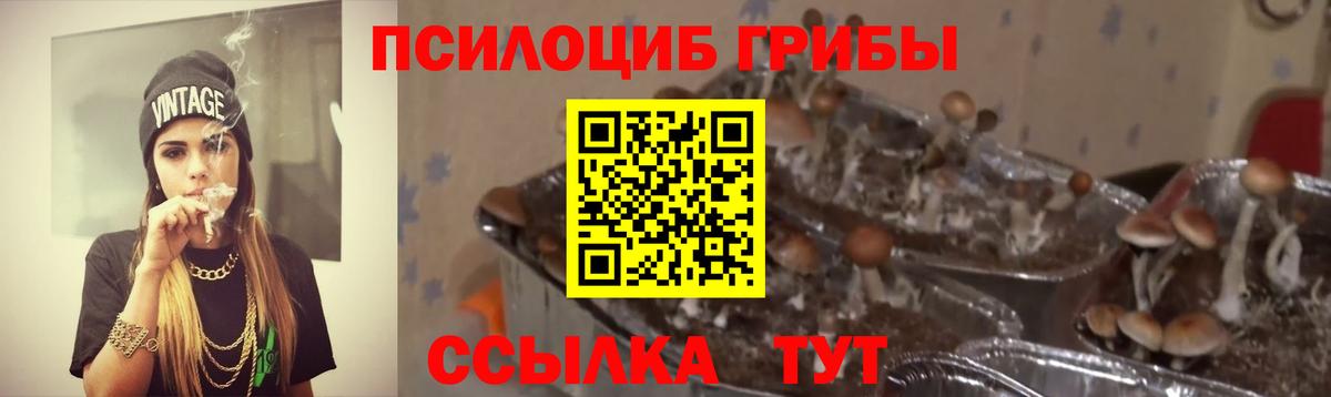 где купить   Псилоцибиновые грибы Psilocybe  Вход с VPN  Ипатово 